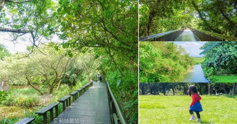台北景點》綠色秘境 最美自然公園 關渡自然公園 豐富的野生動植物自然生態 水鳥觀賞區 - 艾莉絲愛旅行