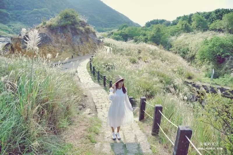 [北投景點 硫磺谷]瀰漫著煙霧的仙境步道 秋日賞芒秘境 - 安妮的天空