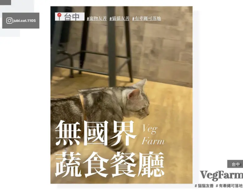 【VegFarm無國界蔬食餐廳】｜台中｜貓貓友善｜寵物可落地｜蔬食