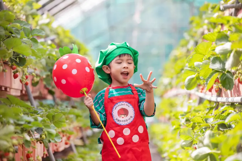 ［台北景點］內湖草莓園碧山路49號，小小草莓達人×採草莓×草莓果醬DIY×雞蛋仔×草莓氣球