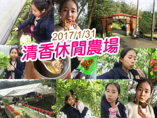 【台北旅遊】清香休閒農場 採番茄 採白菜  半日遊園區好玩