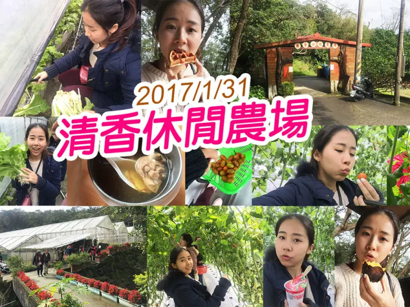 【台北旅遊】清香休閒農場 採番茄 採白菜  半日遊園區好玩