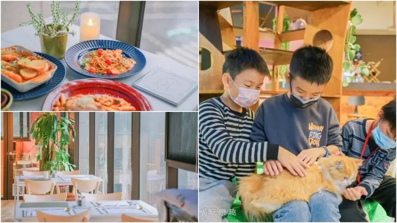 星盒貓語 StarBox Café & Bar  ▏不分年紀都能來的貓咪咖啡廳 滿滿貓咪元素包圍你。近迪化商圈 包場、慶生、聚會首選！。捷運中山站