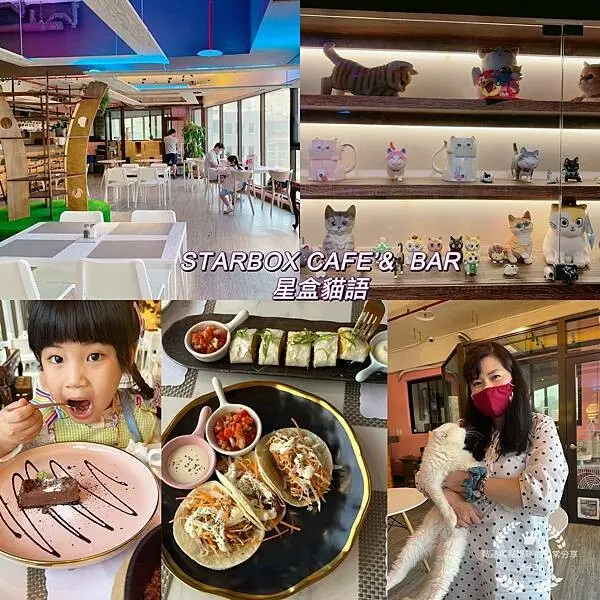 💗STARBOX CAT CAFE’ & BAR星盒貓語，全新開幕的貓咪寵物友善餐廳🌟 有超萌的貓咪駐店x品嚐