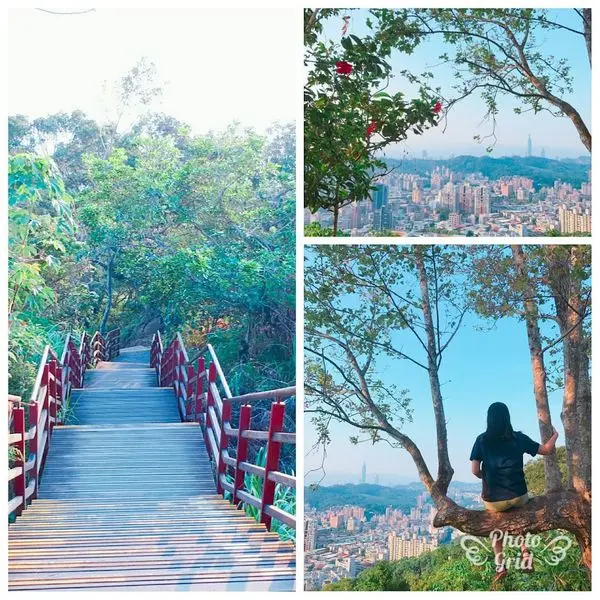 【景美仙跡岩步道】神奇樹景欣賞180度台北巿景/仙人足跡神秘色彩/台北IG打卡爆紅景點/視野極好親子登山步道