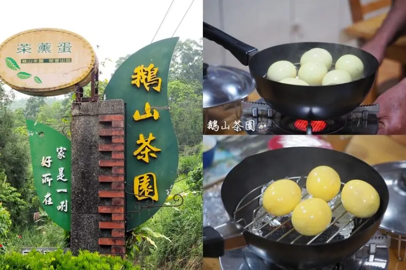 鵝山茶園友善體驗農埸