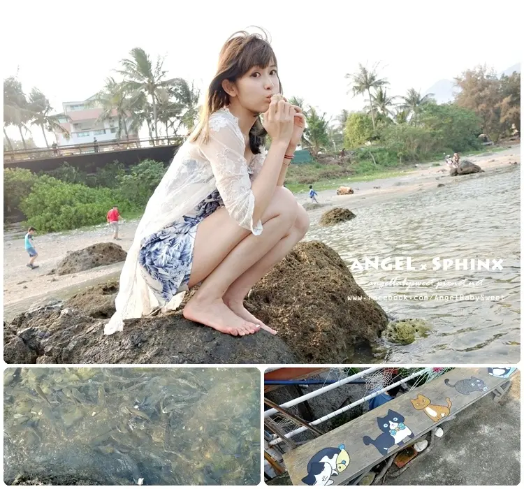 「台東」不可思議！在海邊用海藻麵包餵到超多海魚 ★ 杉原生態海洋公園