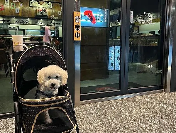 小琉球-小島燒|小琉球超新鮮海鮮丼