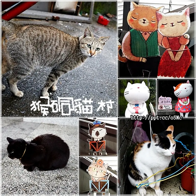 【猴硐貓村】親子同遊～被美國CNN評選為「世界六大賞貓景點」，原本是台灣煤礦產業第一大城，現在變成幸福貓村，讓我們一起尋找貓咪的身影