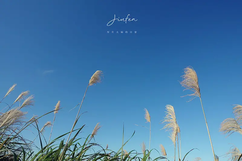 遊新北｜穿梭九份，一起探訪純樸的山城印象 / 行程推薦 / 景點收錄