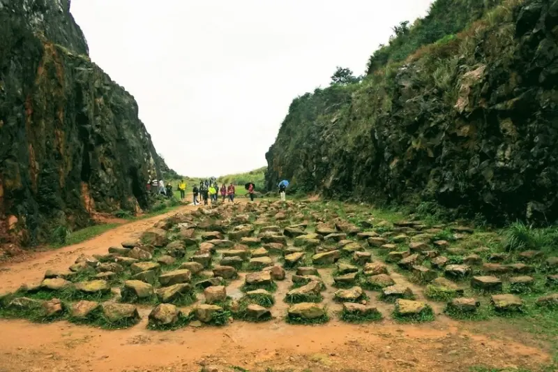 【旅遊】水金九之旅》外星石頭陣海、黃金博物館礦業史、十三層遺址點燈、九份品茶賞夜景