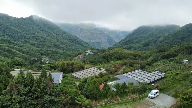 【嘉義 阿里山住宿】來去阿里山找茶人家住一晚 全室檜木香氣爆棚 阿里山住宿推薦 石棹住宿推薦