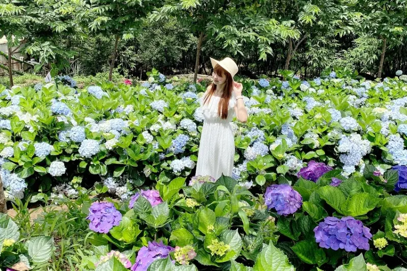 山上陽光休閒農莊