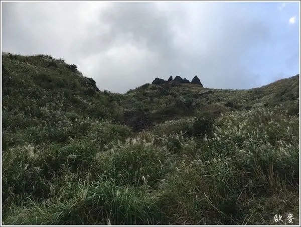 瑞芳︱賞芒與無敵景觀一次滿足之無耳茶壺山