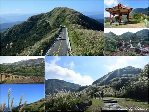 驚艷水金九~秋芒現正美快到東北角賞芒花