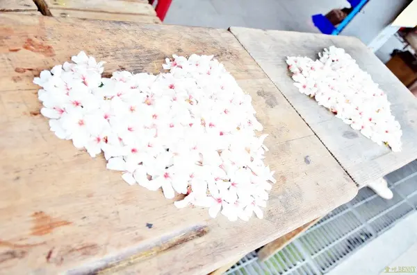 離開了侯硐，到了十分，該在老街吃點東西了！ -- 十分車站