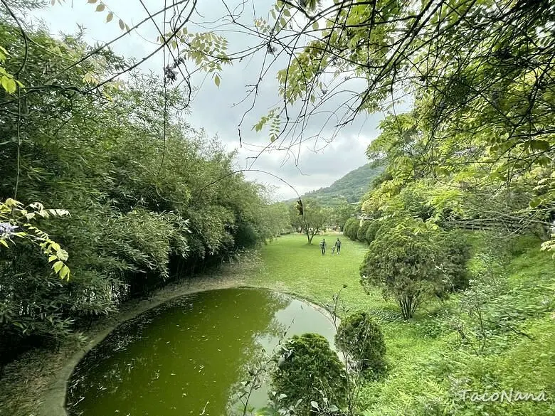 新北親子景點【八里柚香農場】位在山中的桃樂絲森林，免門票入園，觀賞小動物、沙坑、溜滑梯、草皮奔跑、還能烤肉！來對季節有機會看見紫藤花長廊。
