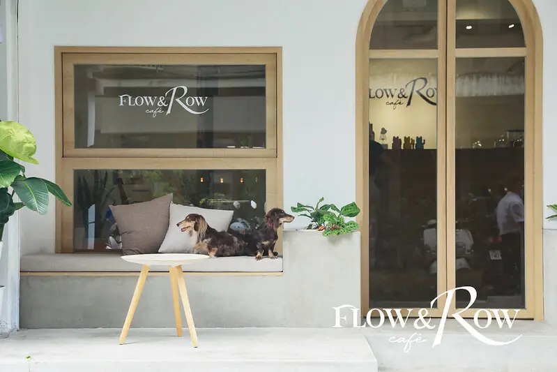 【大安區/忠孝敦化】單純好拍，餐點上可但態度店家姿態非常高的 Flow and row cafe