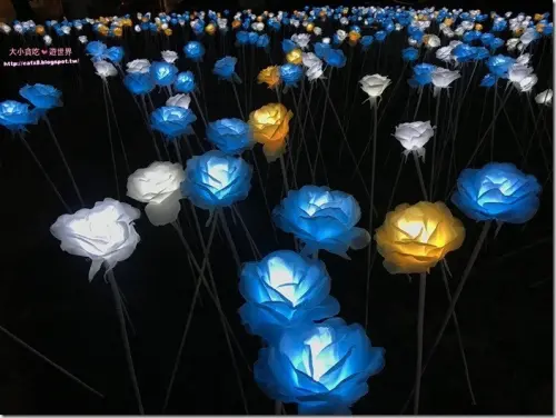 淡水海關碼頭-新北淡水-邂逅美麗夏夜系列活動，免門票超好拍玫瑰燈IG人氣景點