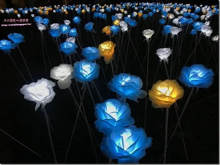 淡水海關碼頭-新北淡水-邂逅美麗夏夜系列活動，免門票超好拍玫瑰燈IG人氣景點