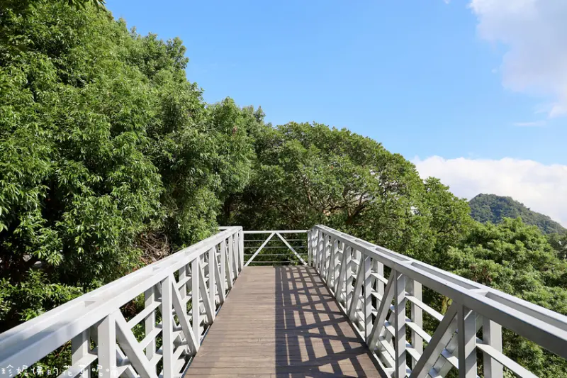 【新北-五股區】觀音山遊客中心猛禽展示館&林梢步道