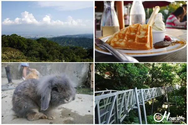 [‧:悠游:‧]五股-觀音山林梢步道+桃樂絲森林