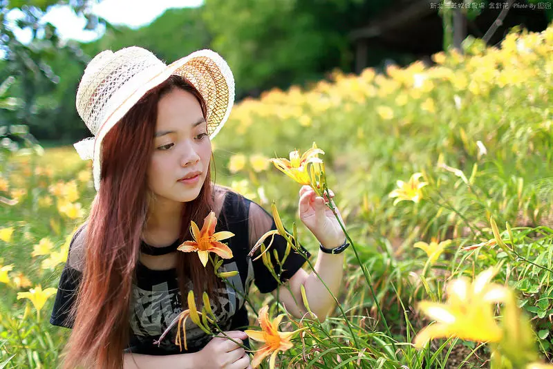 【台北景點】賞金針花海不用跑花蓮～來新北三芝