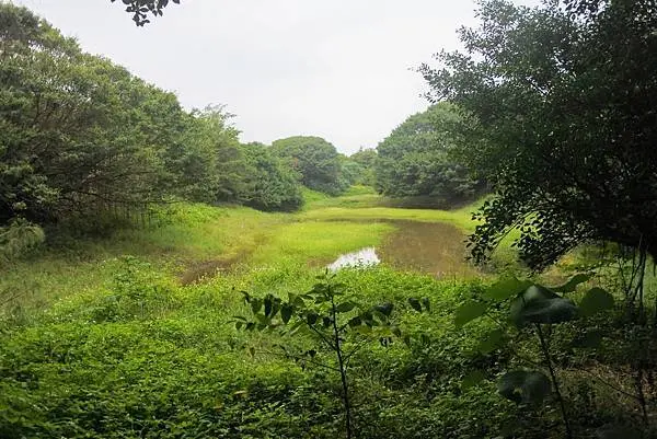【旅遊】搭台灣觀巴遊北海岸》金山泡溫泉、白沙灣神秘湖步道吸芬多精、森林秘境嘗火鍋