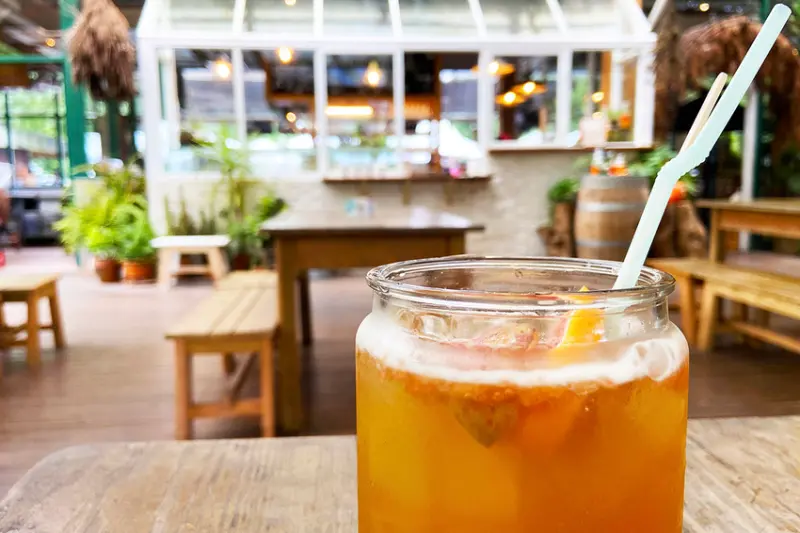 【三峽皇后鎮森林｜露營車一泊二食Part1】園區介紹、溫室下午茶、美拍夢幻玻璃屋