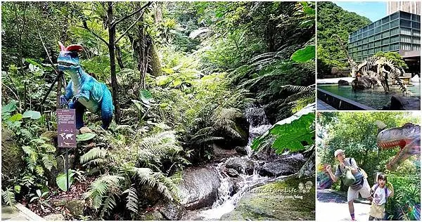 新北景點|大板根恐龍探索森林-7米的巨型霸王龍和二十多種擬真恐龍現身叢林中，森林浴、溫泉搭配免費親子活動，一起冒險趣!(影片)