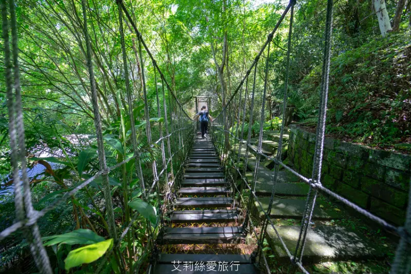 必去三峽景點推薦：大板根森林遊樂區