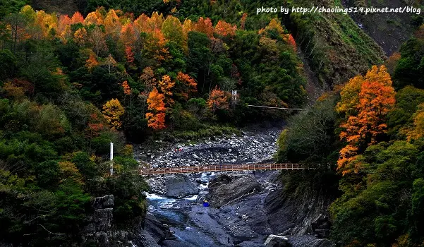 秀巒 - 控溪吊橋。媲美北海道的楓景