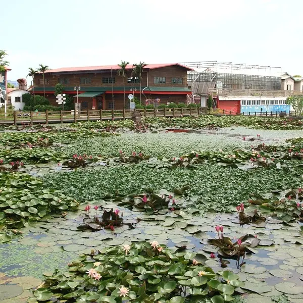 正隆休閒廣場(吳厝楊家莊)