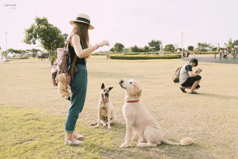 桃園的虎頭山大草原野放小狗日記