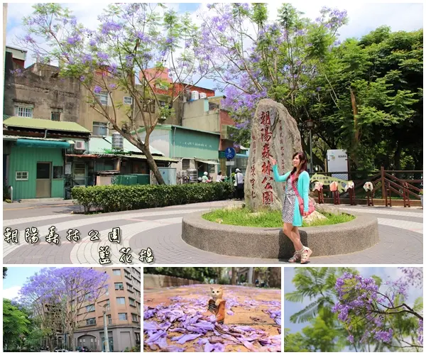 【桃園景點】朝陽森林公園~捕捉如夢似幻的藍花楹，迎接紫色浪漫的來襲吧        
      