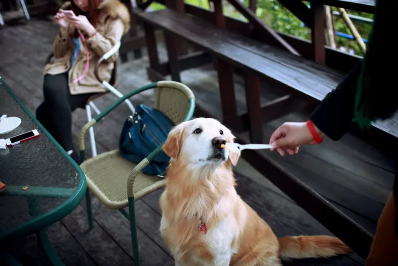 蔣公午後的大溪約會