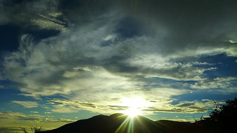 南投清境小遊，無毛羊兒一樣可愛