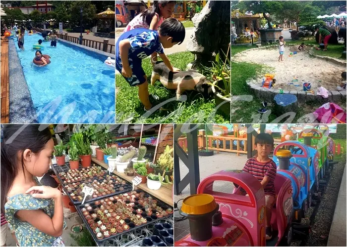 【桃園｜大溪景點】花開了休閒農場｜免門票!玩水、玩沙、各項遊樂設施、看小動物、現場聽演唱一次滿足! - 1個媽咪2個寶