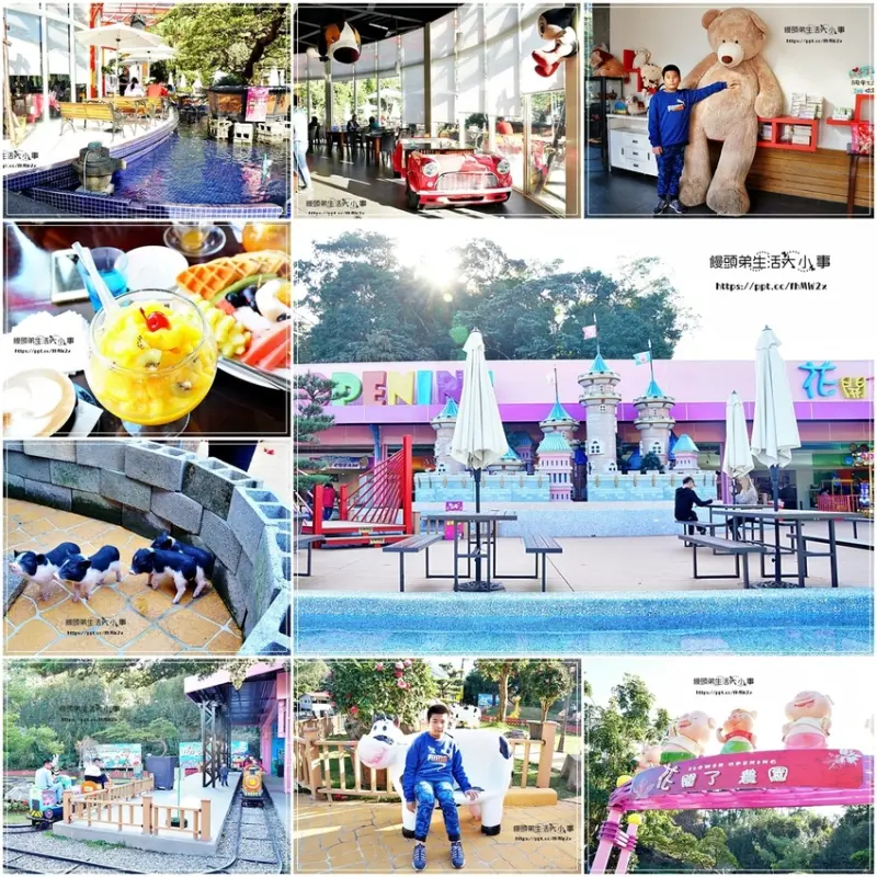 【桃園景點】花開了休閒農場／親子同遊～免費入場，小火車、迷你豬、沙坑、水池，遊戲場，比臉還要大杯的芒果冰沙必點