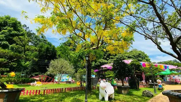 2020桃園黃金阿勃勒第三發|大溪花開了最新設施|夢幻水上城堡遊戲區|最佳中繼站天御花園|桃園大溪親子景點(2020/6/21最新花況)