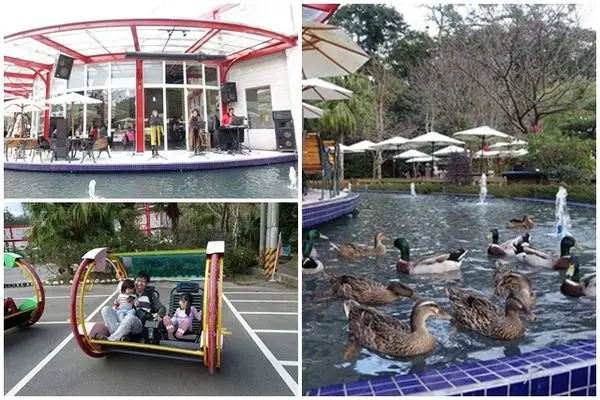 【桃園】大溪花開了休閒農場。玩沙賞花體驗3D魔輪車.還有可愛動物在身邊(免門票)