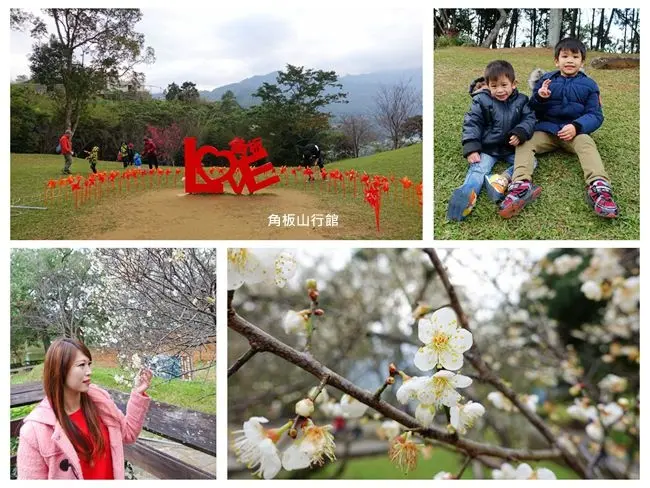 2018角板山梅花季 ▶ 角板山行館賞梅、戰備隧道 ▶ 全台最長的新溪口吊橋啟用 #桃園復興景點