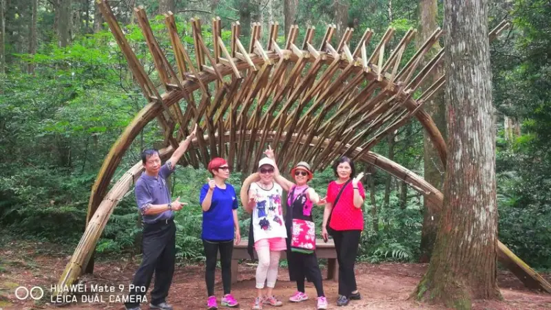 桃園復興區景點[東眼山國家森林遊樂區] 真是個世外桃源，造景森林、藝術造景美不勝收