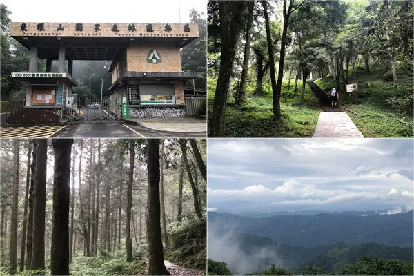 [桃園復興] 東眼山國家森林遊樂區 ~ 北台灣森林系步道，高聳柳杉林，登小百岳東眼山，遠眺桃園、大台北、台北101