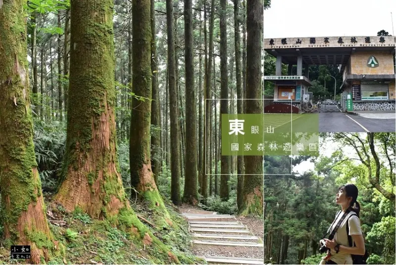 【桃園復興景點】東眼山國家森林遊樂區‧一起森呼吸‧我被森林包圍了‧來當森林系女孩！