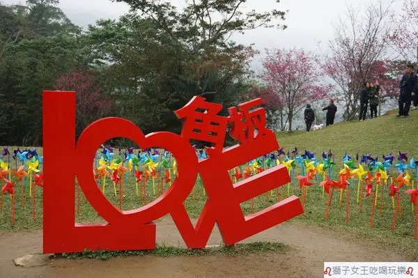 (桃園●復興)角板山公園~櫻花季~眺望新溪口吊橋~戰備隧道好拍好玩~LOVE造景