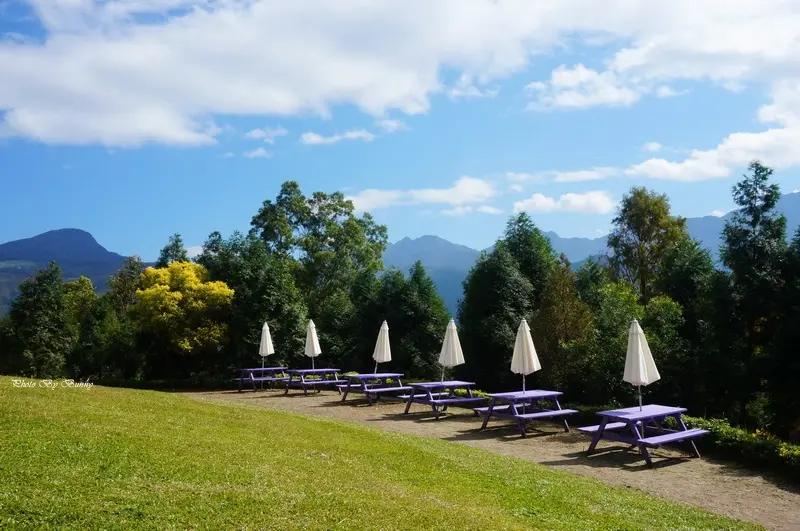 【桃園】復興鄉 綠光森林 富野綿羊牧場 享受自然芬多精
