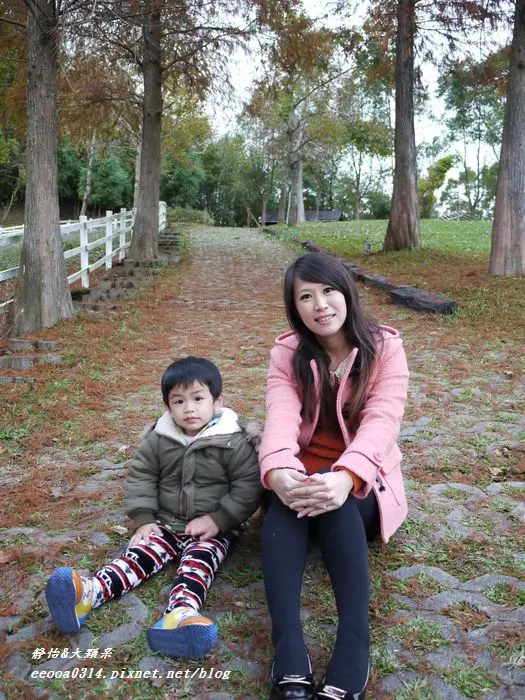 【桃園復興】有羊咩咩的景觀餐廳♥綠光森林富野綿羊牧場♥