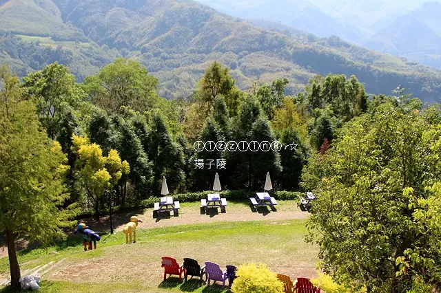 尋找那道光。桃園。綠光森林富野綿羊牧場～