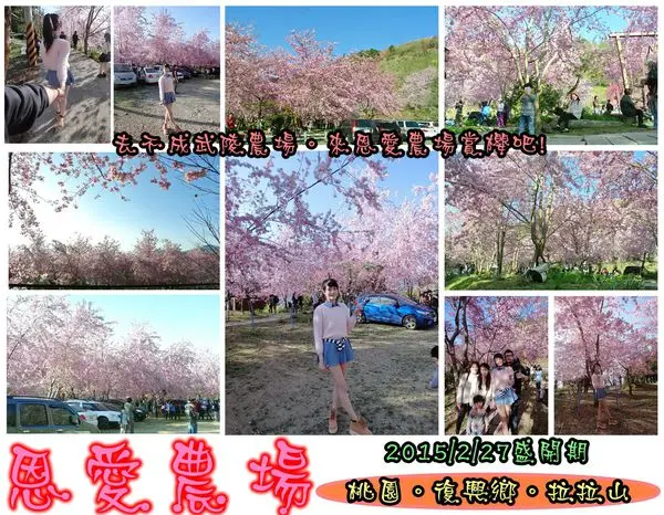 【遊記】oO。桃園 復興鄉 拉拉山 恩愛農場  去不成武陵農場沒關係，恩愛農場也有粉紅世界，超美～。o○。        
      